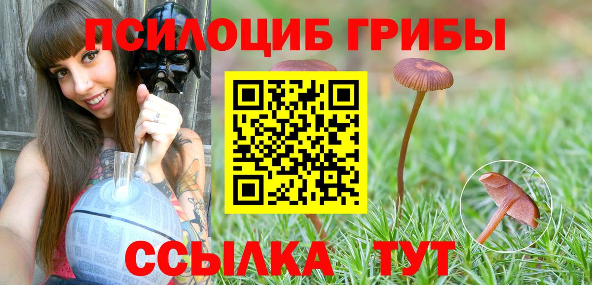 Псилоцибиновые грибы прущие грибы  Вход с VPN  Карпинск 